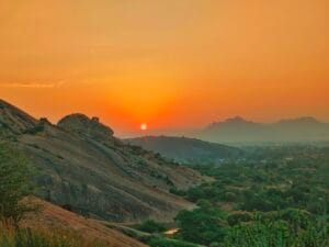 jawai sunrise safari