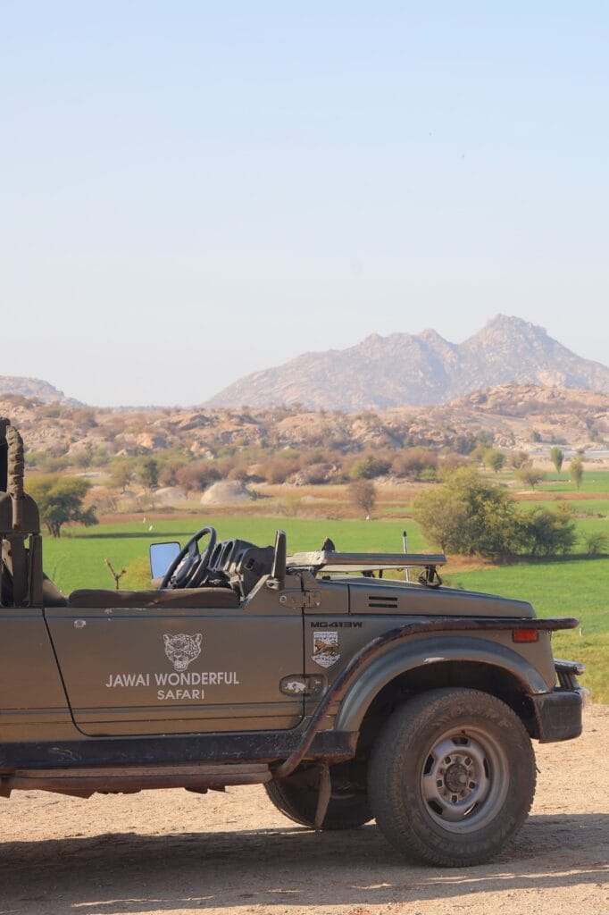 offroading in jawai offroading in jawai